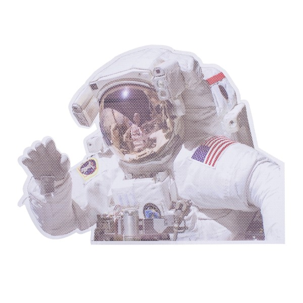 NASA Ride With Astronaut