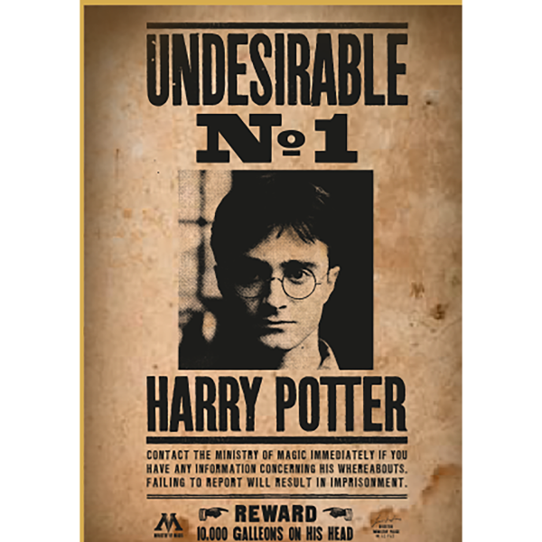 Harry Potter - Puzzle 50-teilig - Wanted No1 Harry Potter